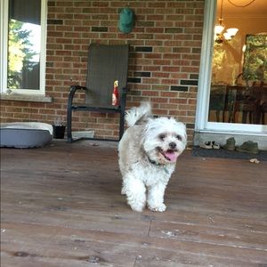 Meet your Posher, Indiana